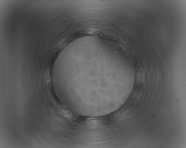 X0000067470620200604211608