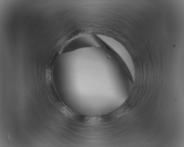 X0000067470621200604211608