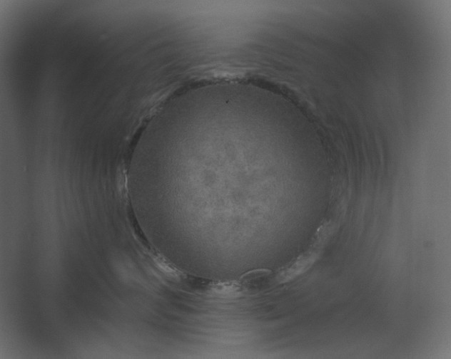 X0000067470624200604211608