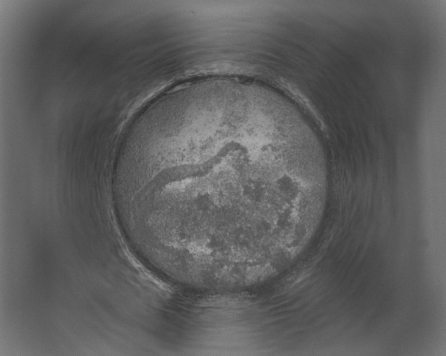 X0000067470625200604211608