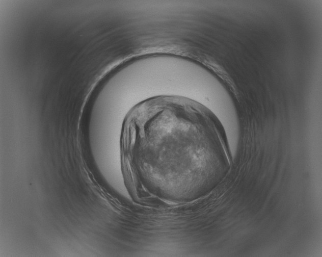 X0000067470628200604211608