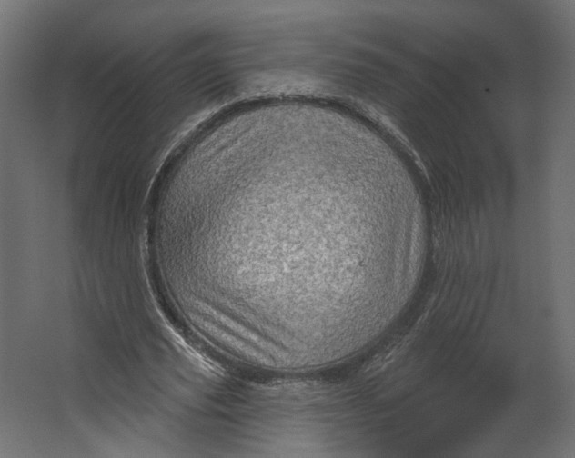 X0000067470629200604211608