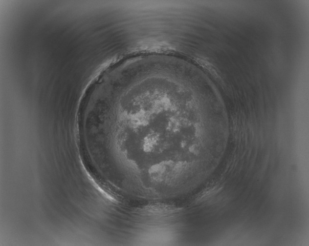 X0000067470630200604211608