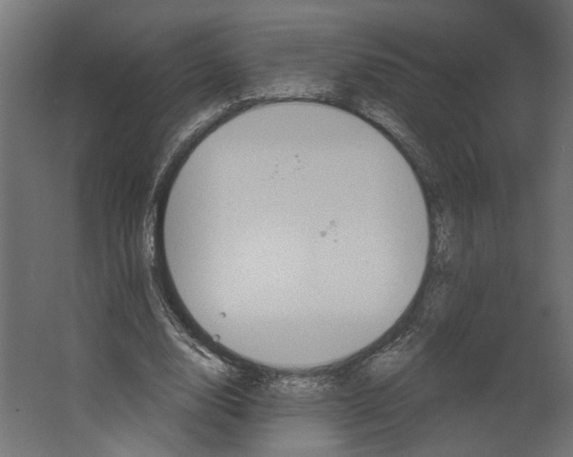 X0000067470632200604211608