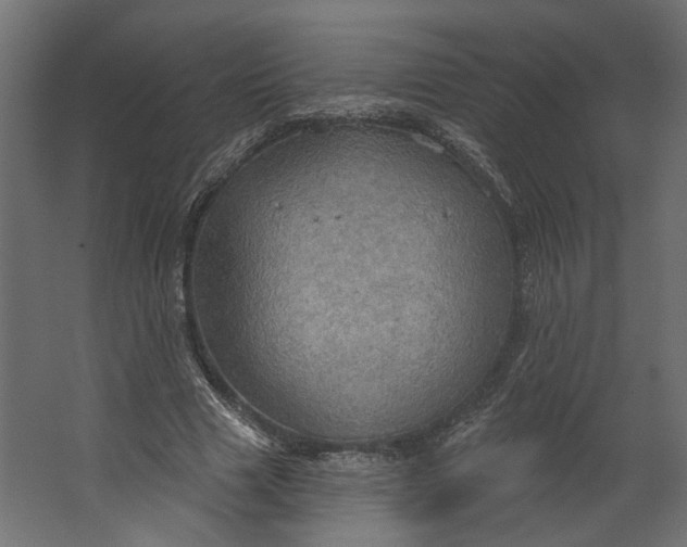 X0000067470633200604211608