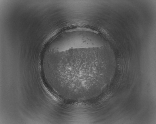 X0000067470634200604211608