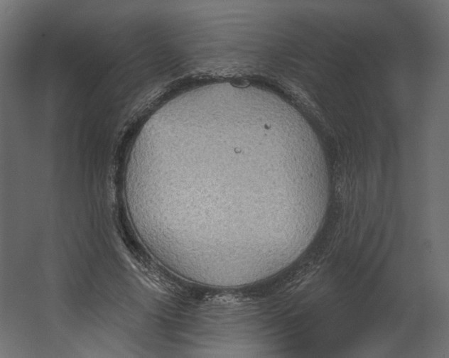 X0000067470635200604211608