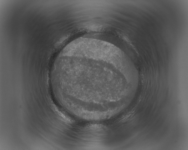 X0000067470637200604211608