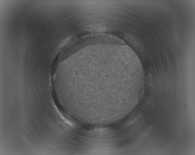 X0000067470638200604211608