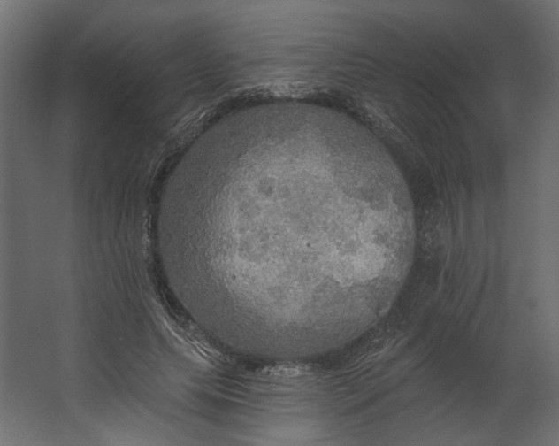 X0000067470639200604211608