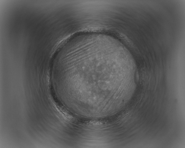 X0000067470640200604211608