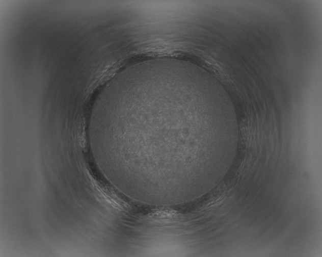 X0000067470642200604211608