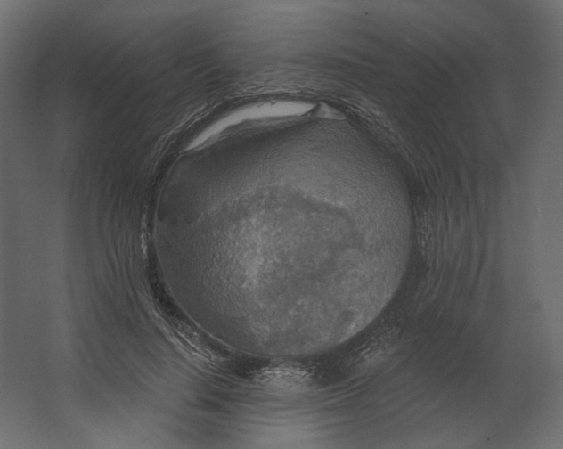 X0000067470644200604211608