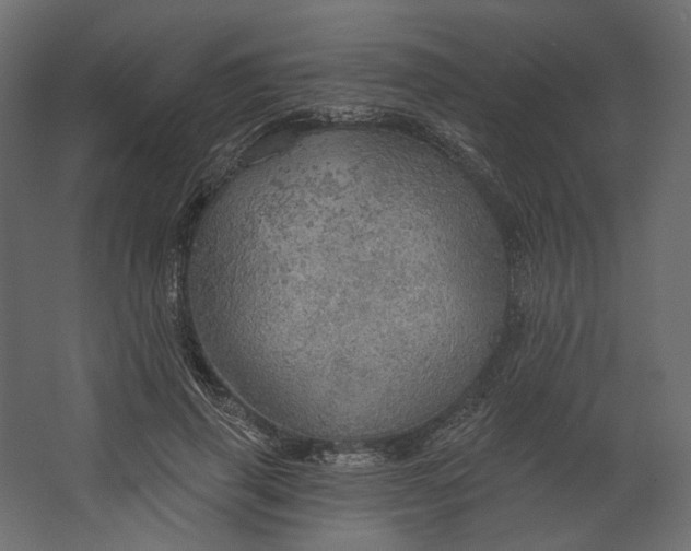 X0000067470645200604211608