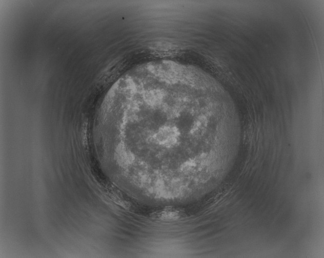 X0000067470647200604211608