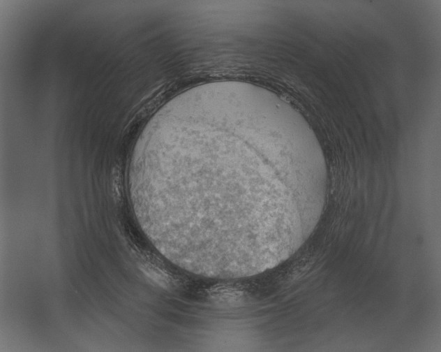 X0000067470648200604211608