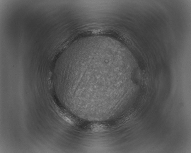 X0000067470650200604211608