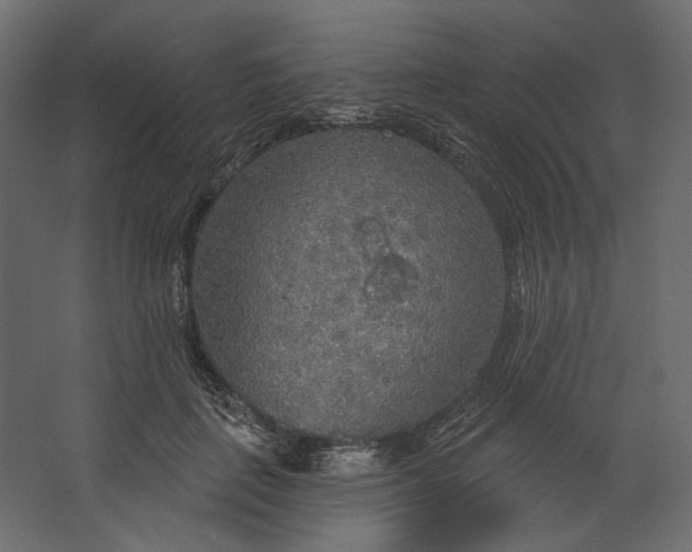 X0000067470651200604211608