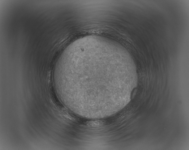 X0000067470652200604211608