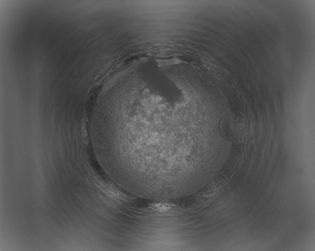 X0000067470654200604211608