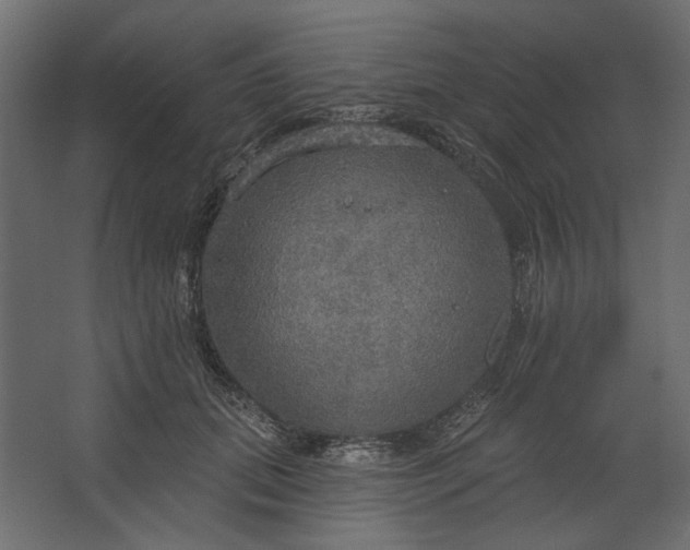 X0000067470655200604211608