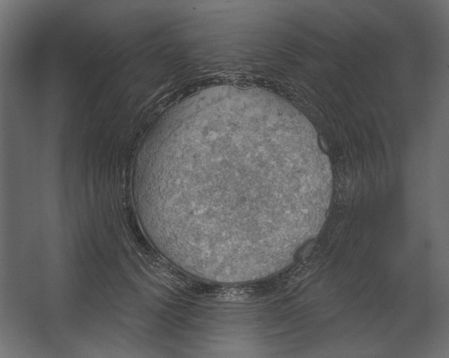 X0000067470656200604211608