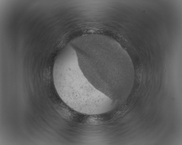 X0000067470657200604211608