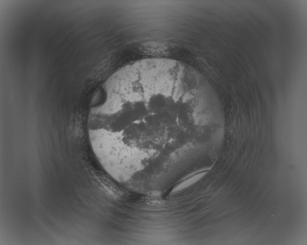 X0000067470658200604211608