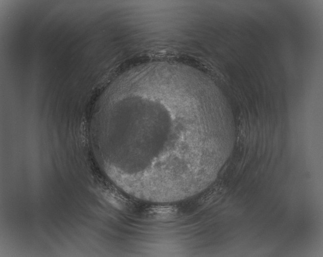 X0000067470659200604211608