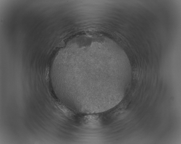 X0000067470660200604211608