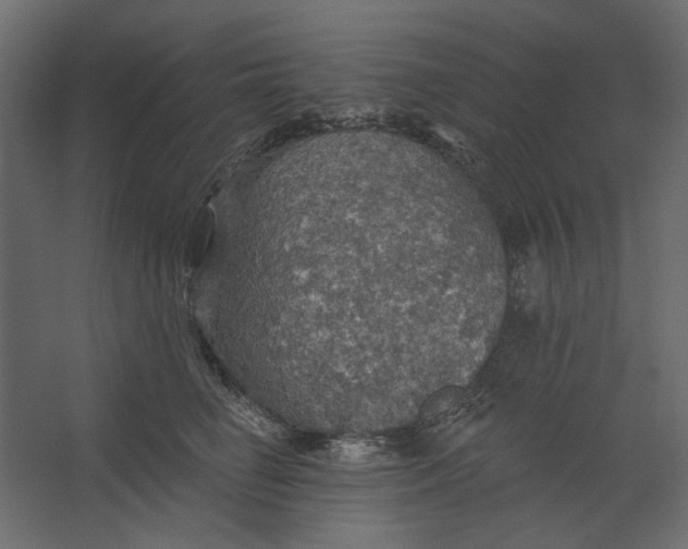 X0000067470662200604211608