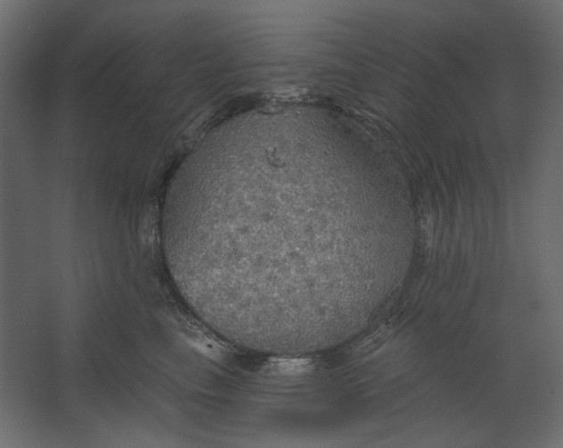 X0000067470665200604211608