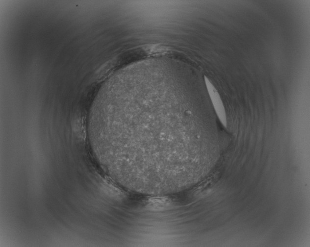 X0000067470666200604211608