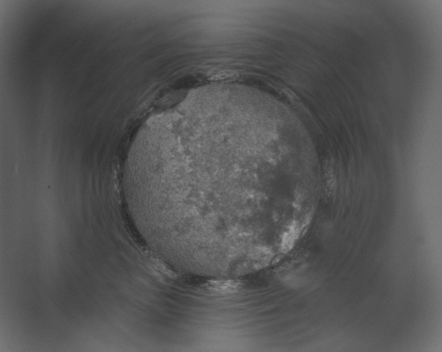 X0000067470667200604211608