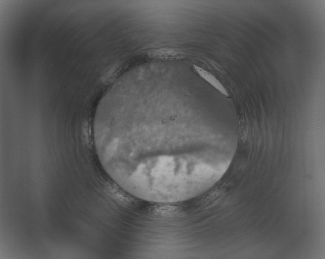 X0000067470669200604211608