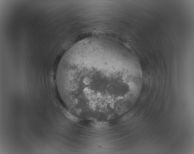 X0000067470670200604211608