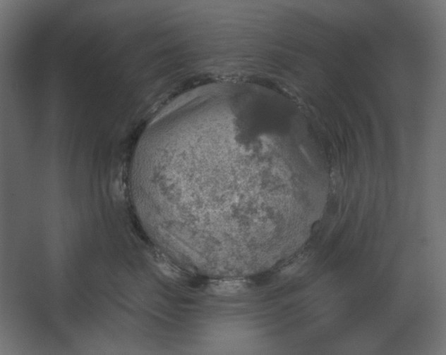 X0000067470671200604211608