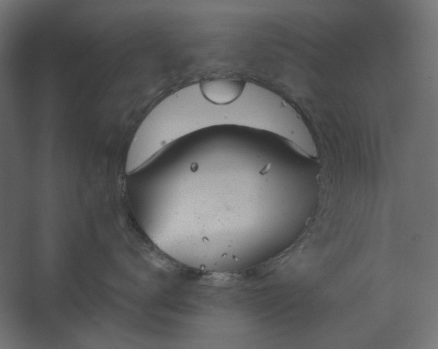 X0000067470672200604211608