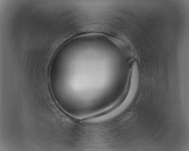 X0000067470673200604211608