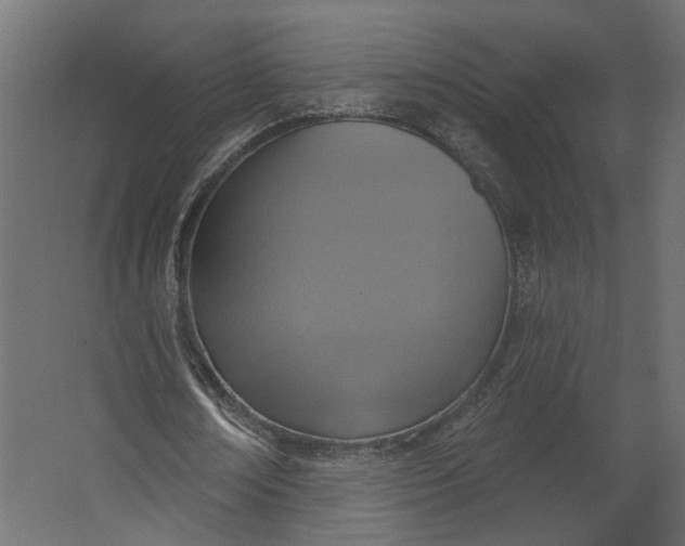 X0000067470674200604211607