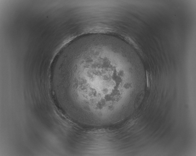 X0000067470675200604211607