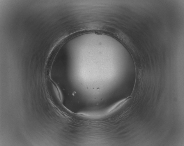 X0000067470676200604211607