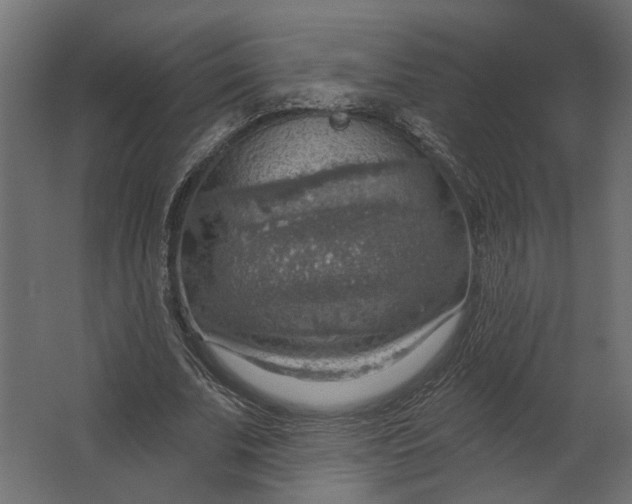 X0000067470679200604211607