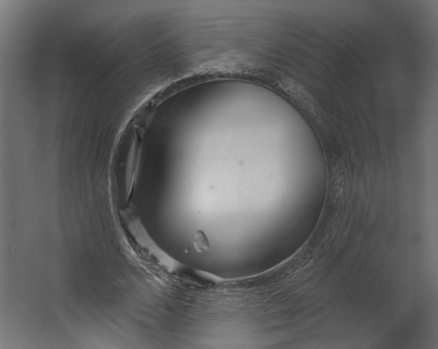 X0000067470680200604211607