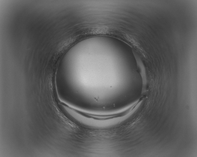 X0000067470681200604211607