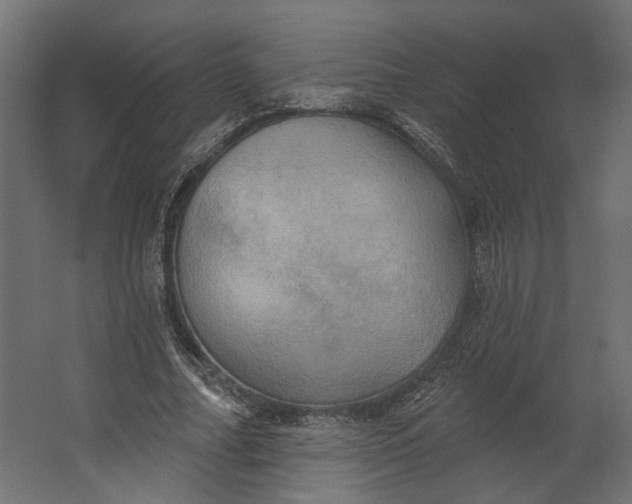 X0000067470682200604211607