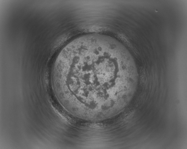 X0000067470683200604211607