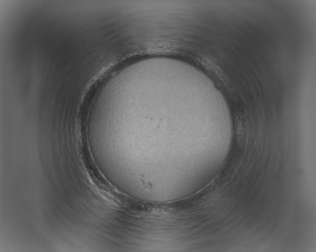 X0000067470684200604211607