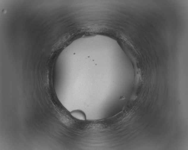 X0000067470685200604211607