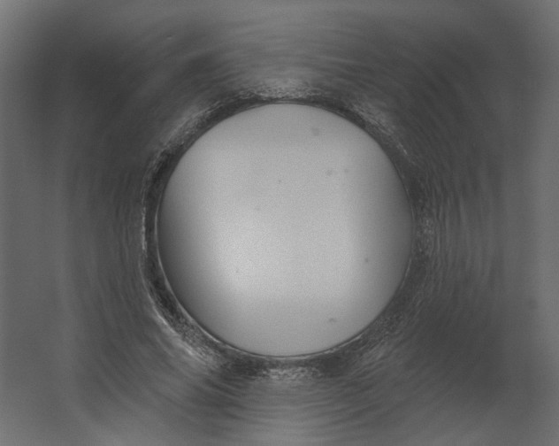 X0000067470686200604211607